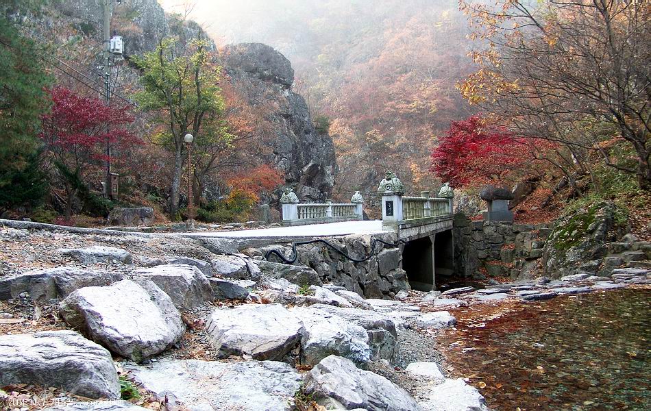 염정의