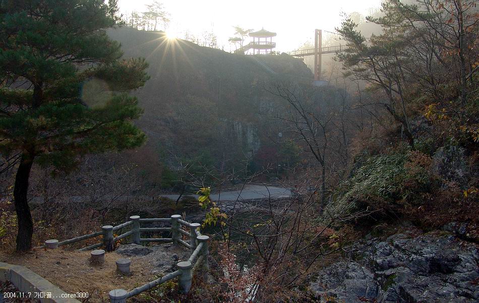 염정의