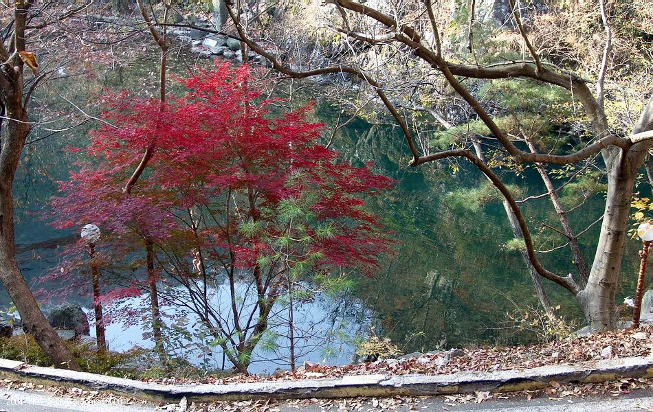 염정의
