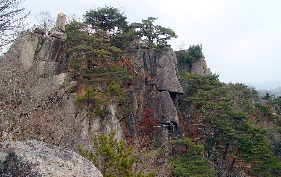 염정의