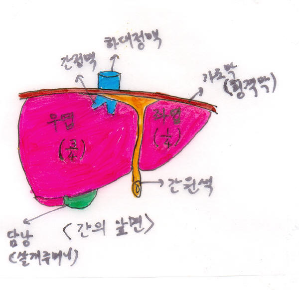 레스토 이미지