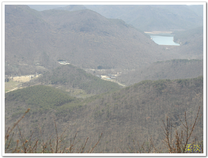 선운
