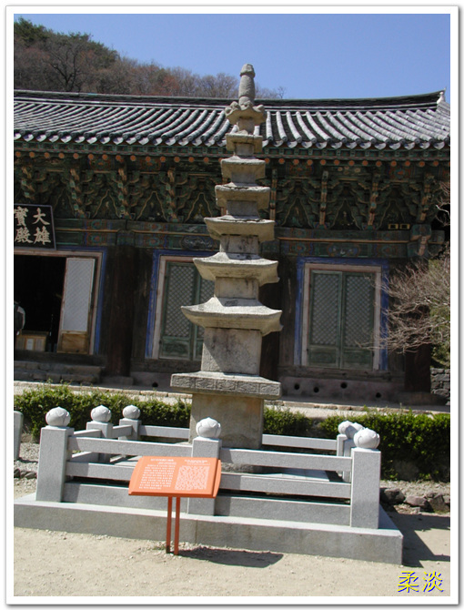 선운