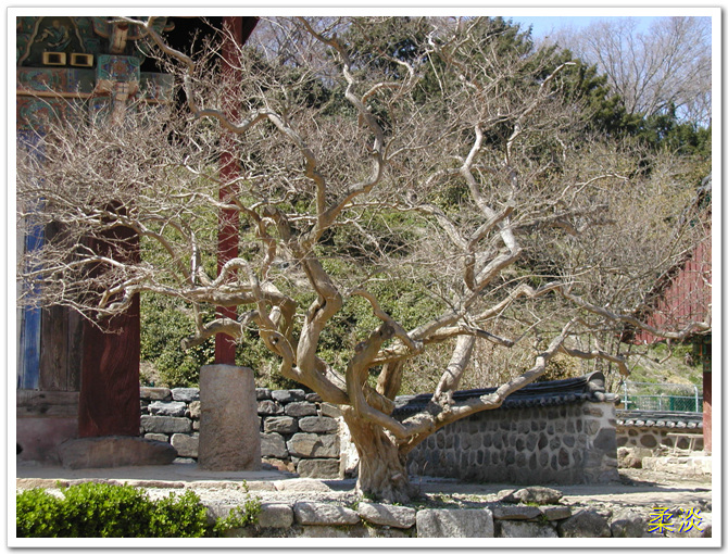 선운