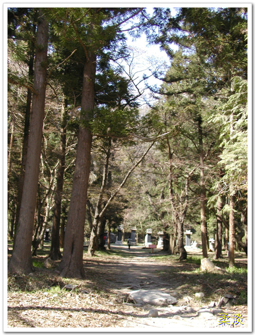 선운