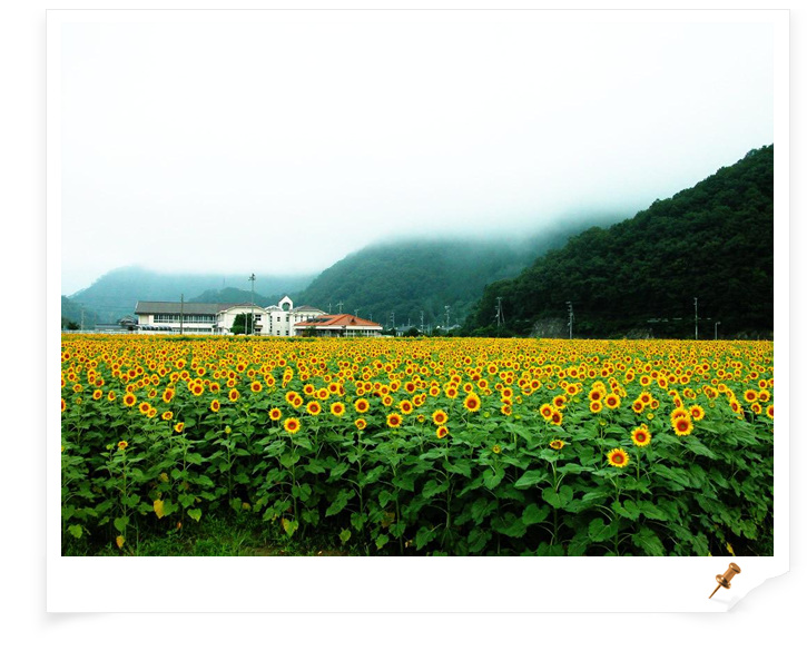 산이좋와