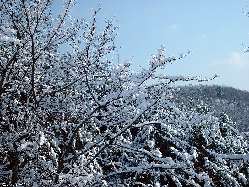 곡달산