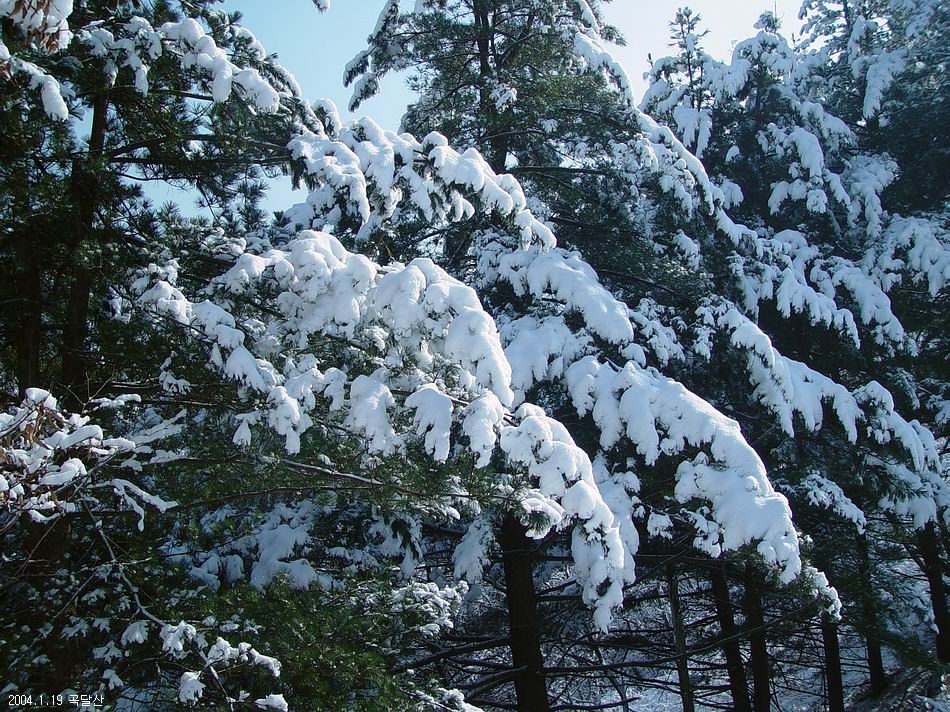 곡달산