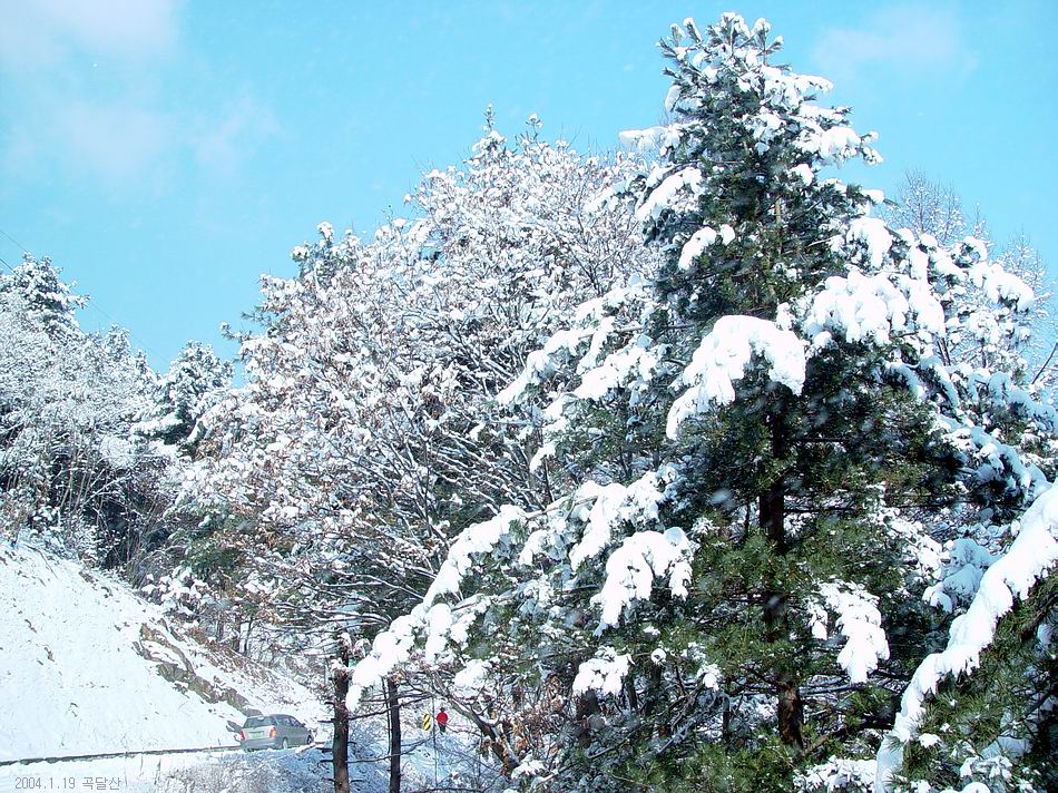 곡달산