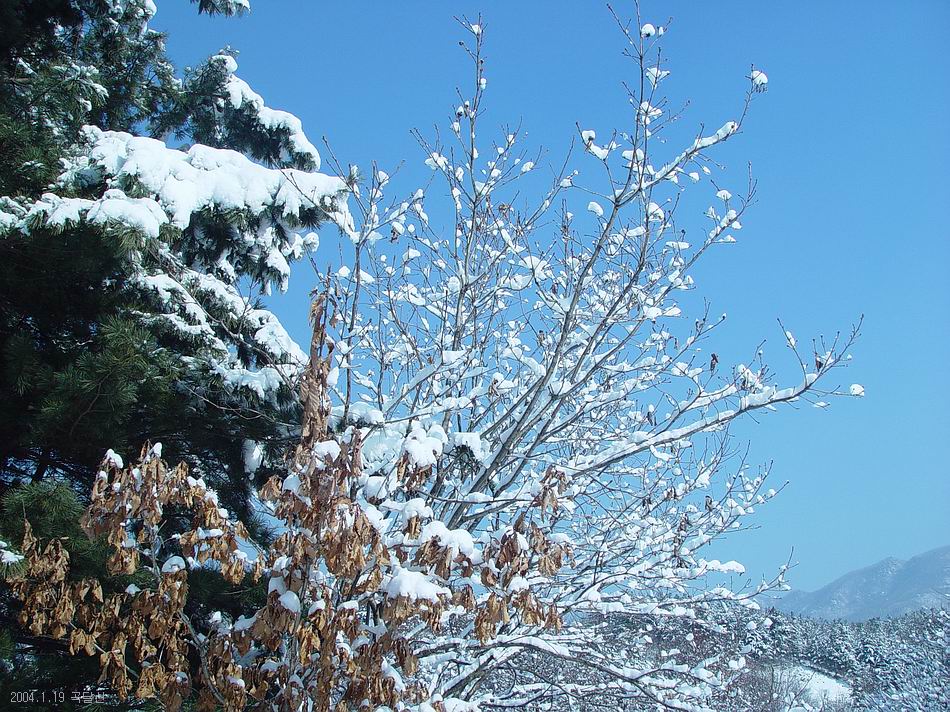 곡달산