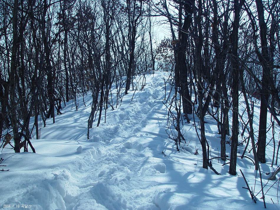 곡달산