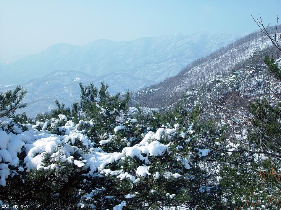곡달산