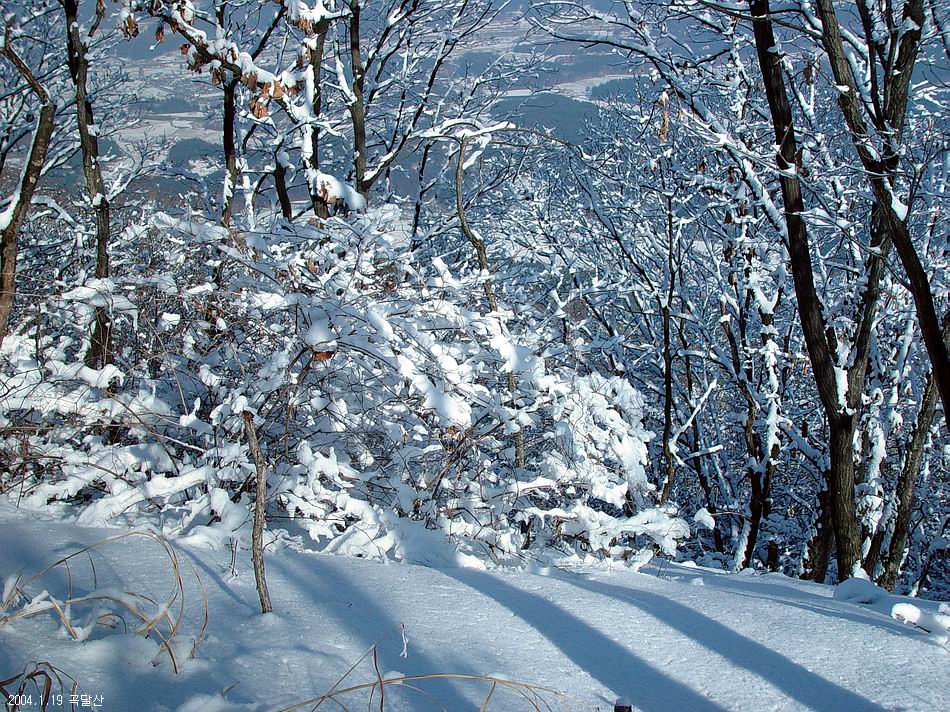 곡달산