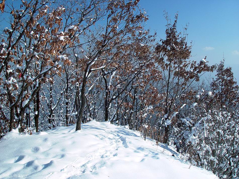 곡달산