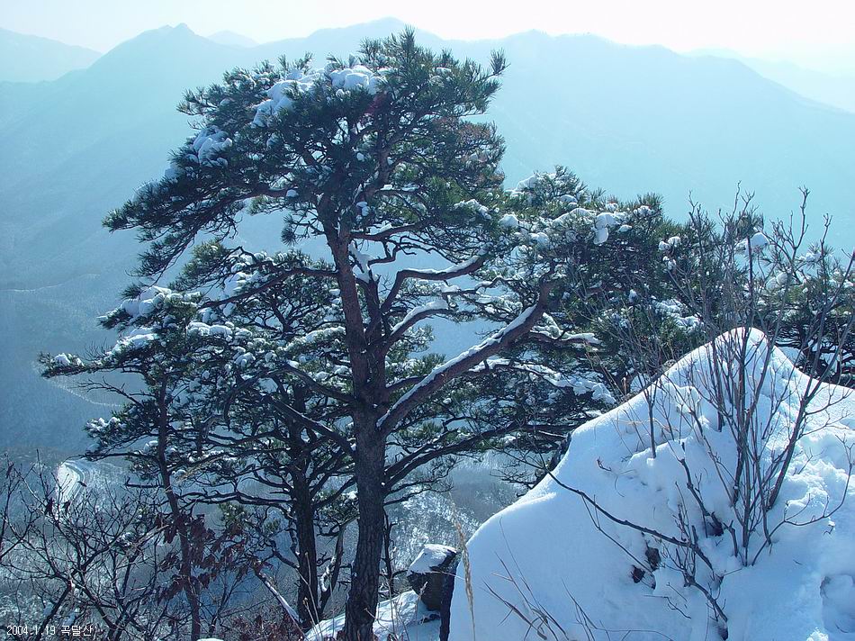 곡달산