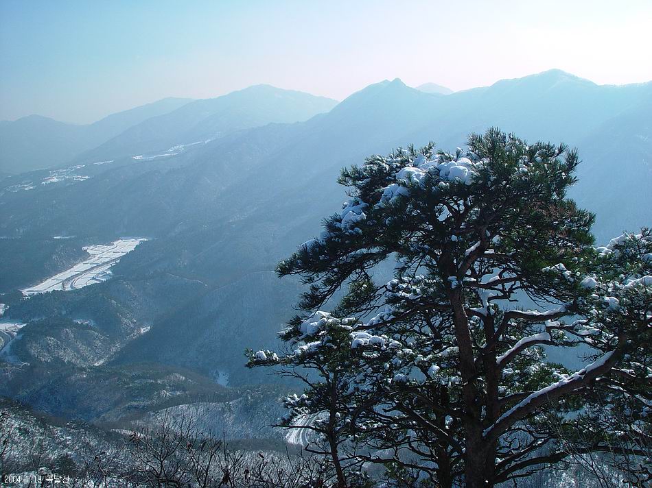 곡달산