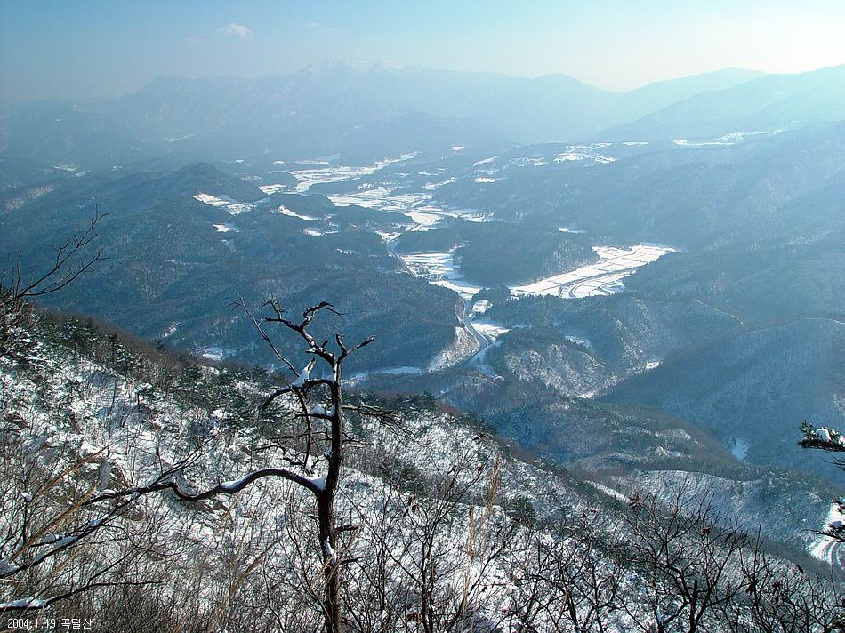 곡달산