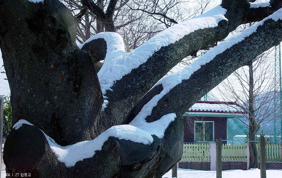 무등산 입석대