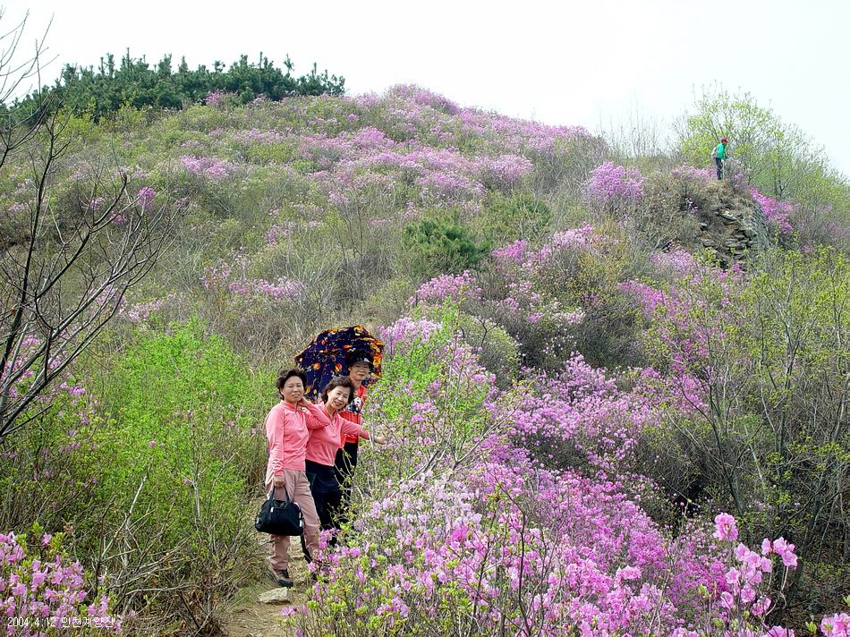 계양산