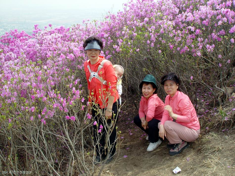 계양산