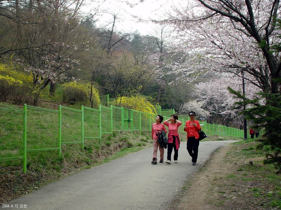 계양산