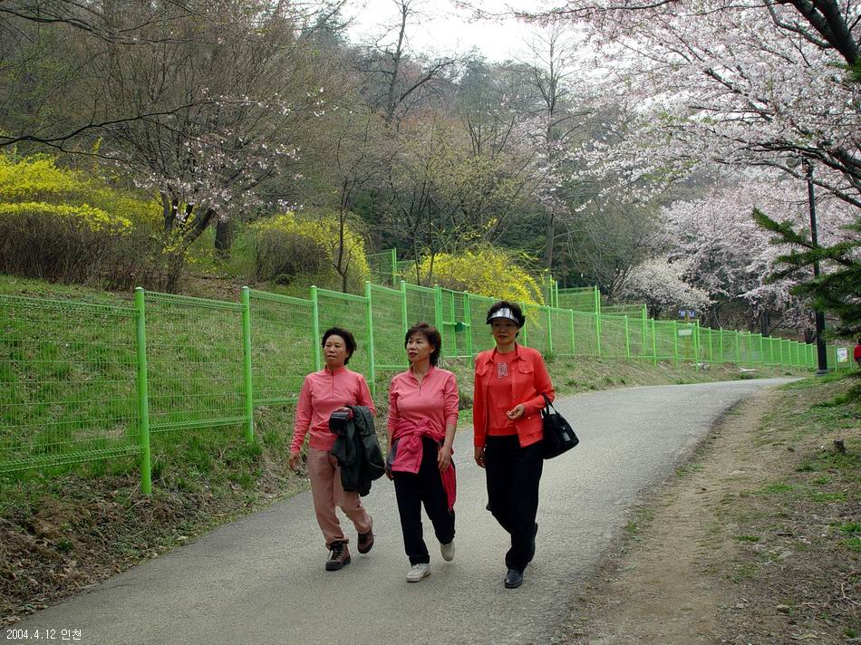 계양산
