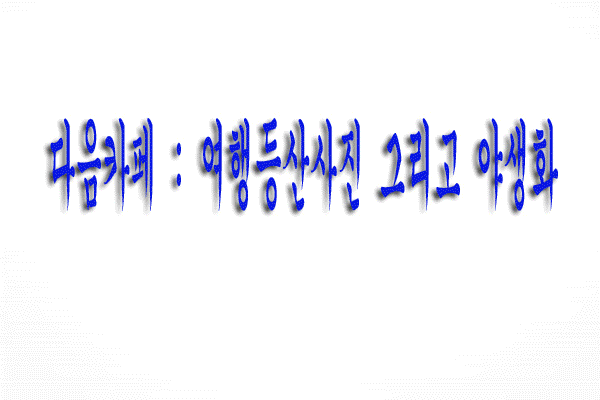 꽃사진