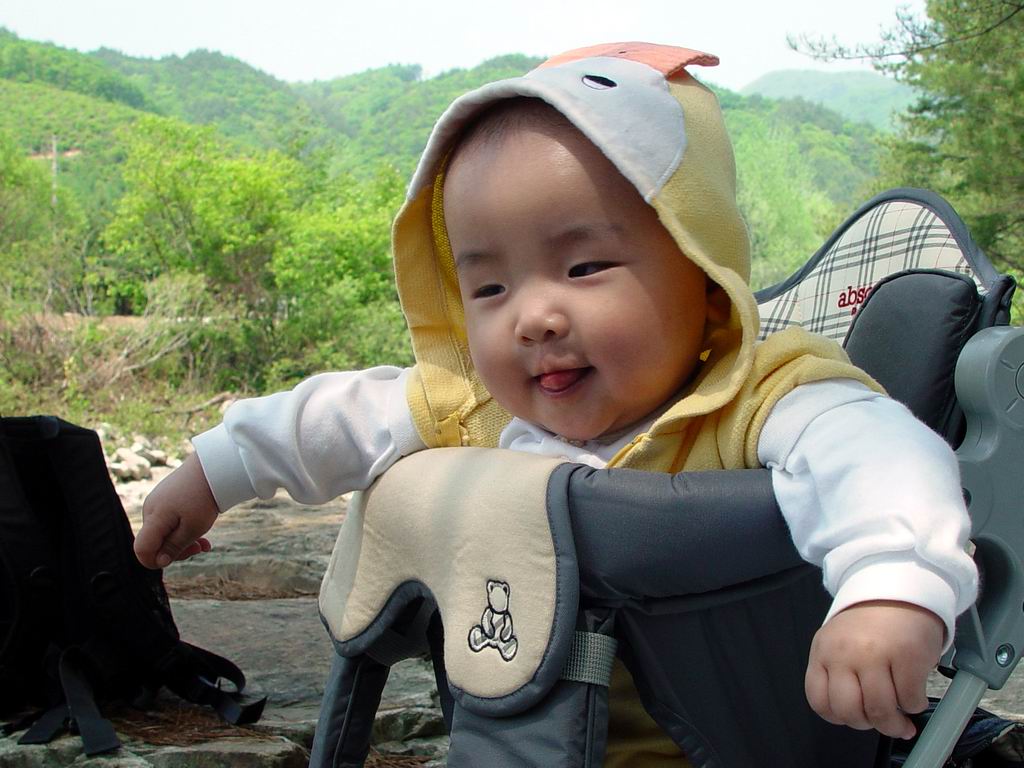 애기