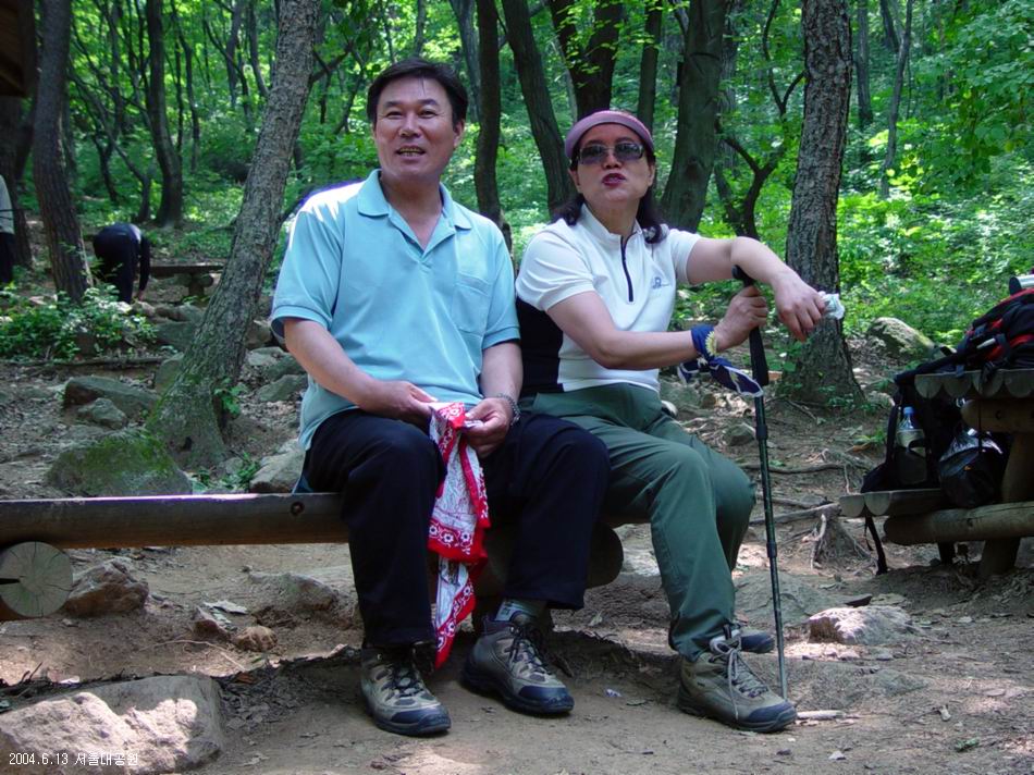 숲속