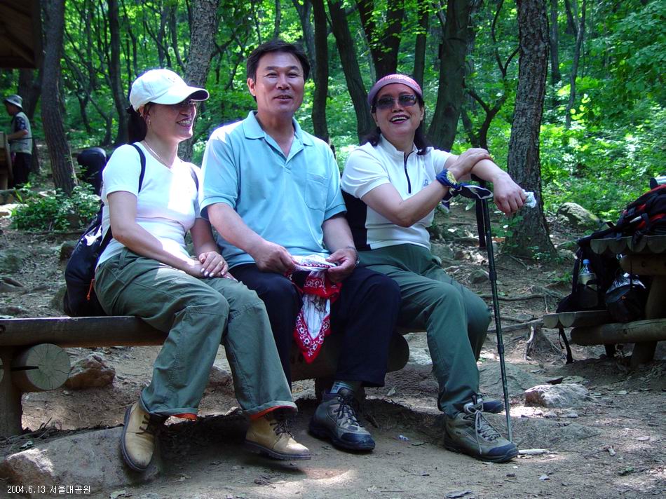 숲속