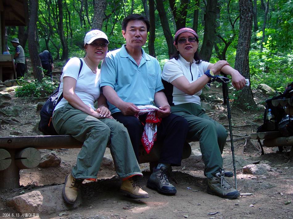 숲속