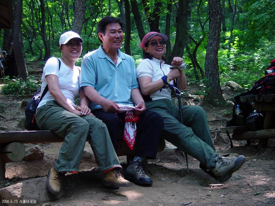숲속