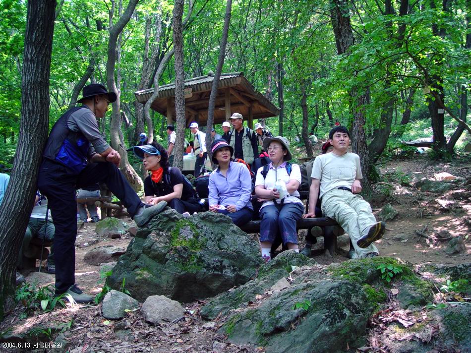 숲속