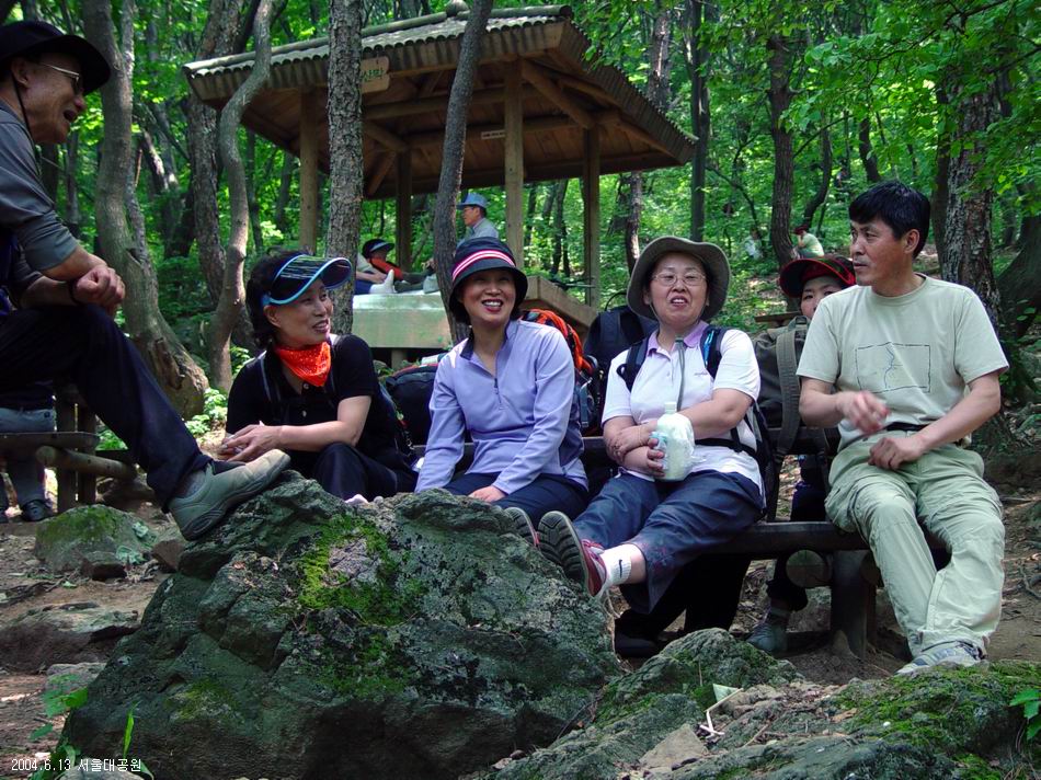 숲속