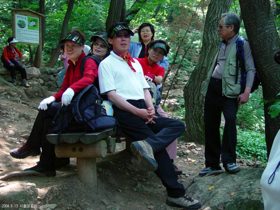 숲속