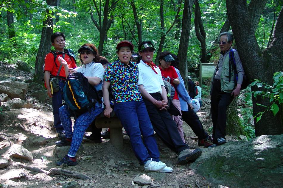 숲속