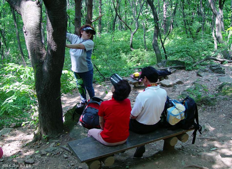 숲속