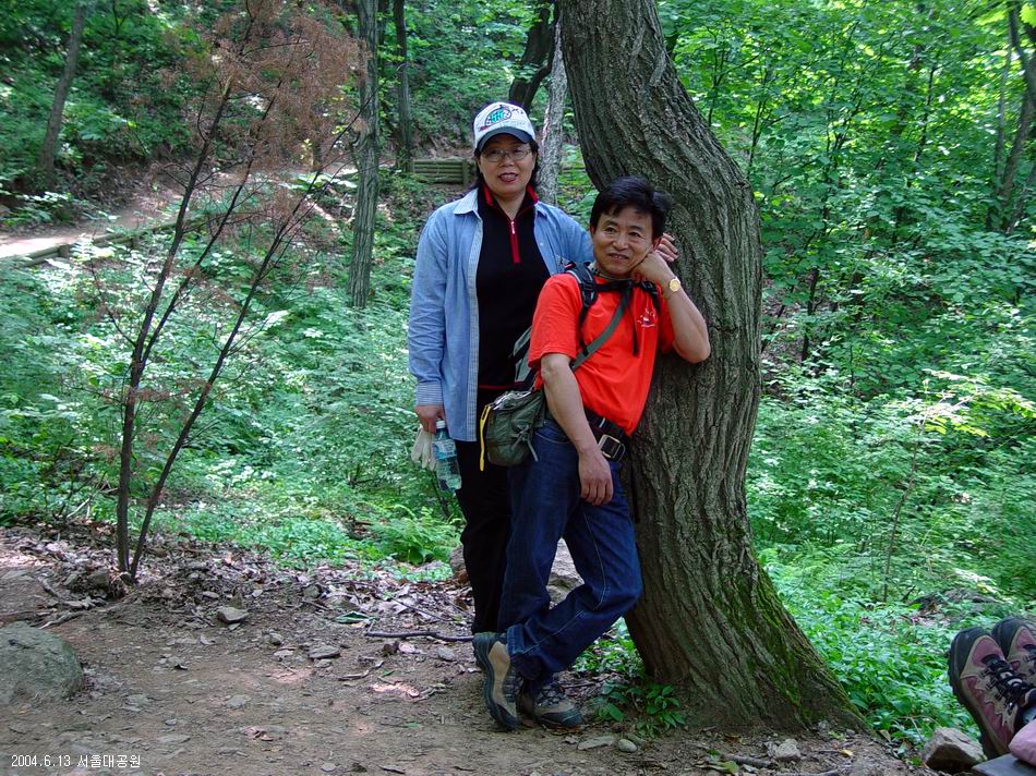 숲속