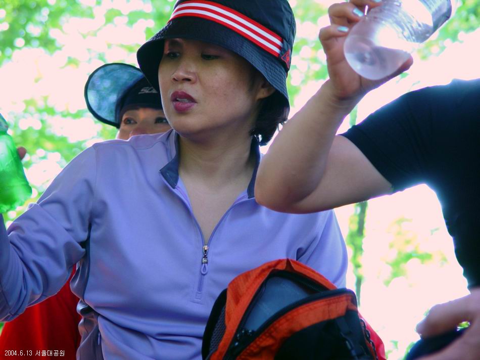 숲속
