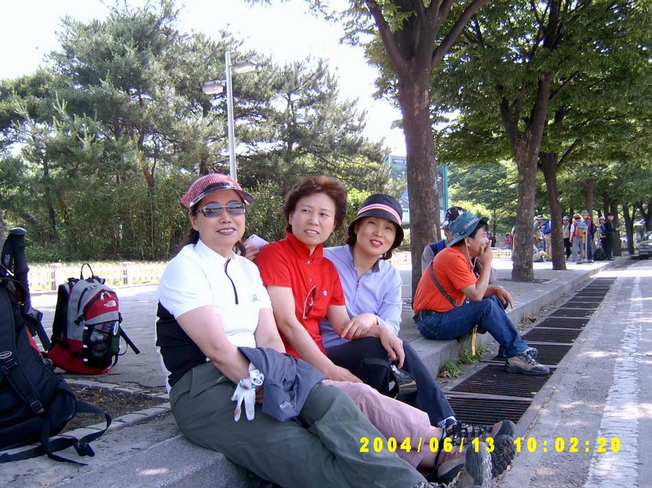 숲속