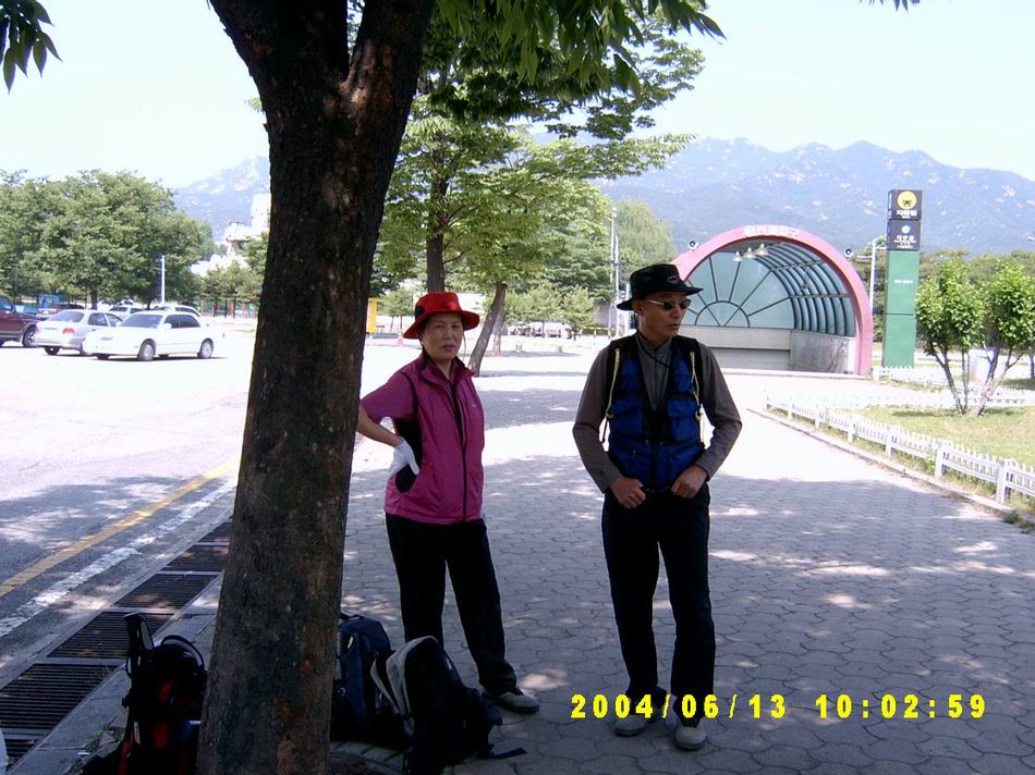 숲속