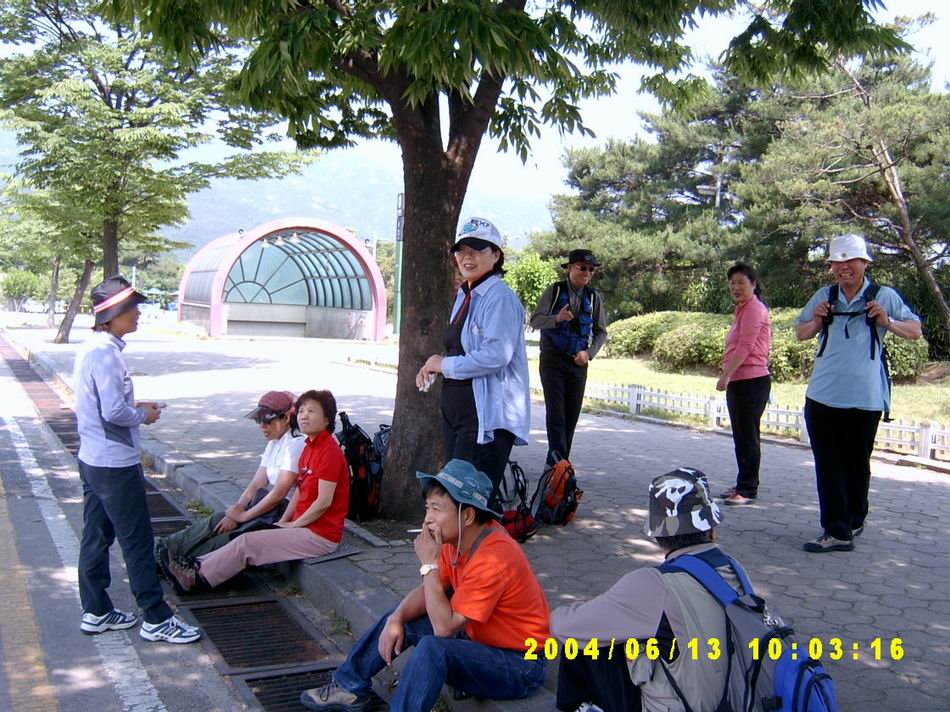 숲속
