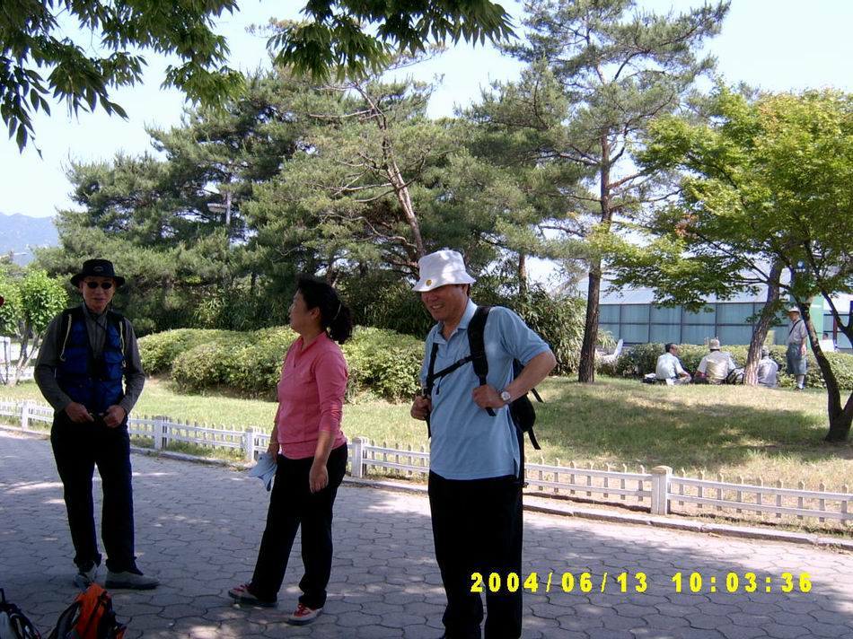 숲속
