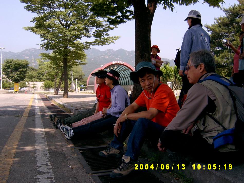 숲속