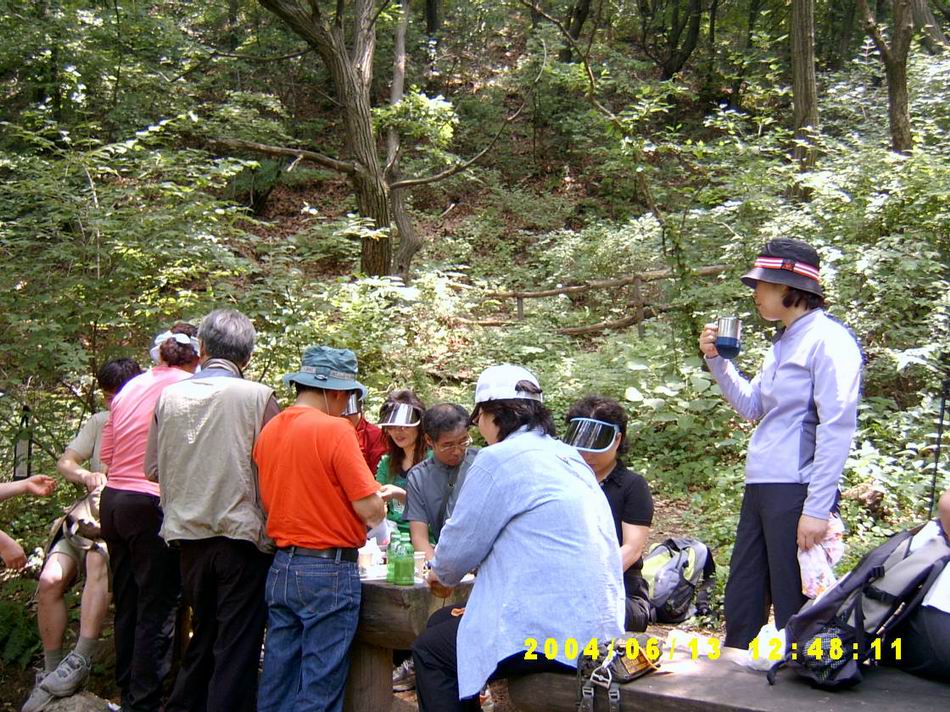 숲속