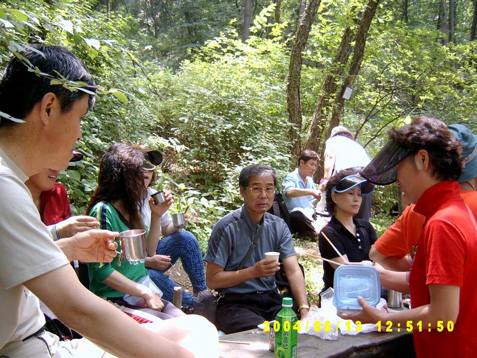 숲속