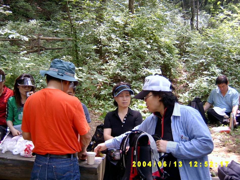숲속