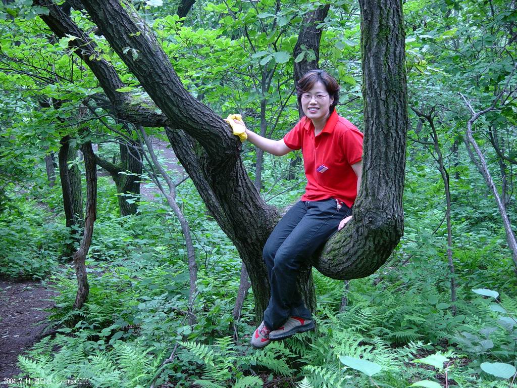 한뫼
