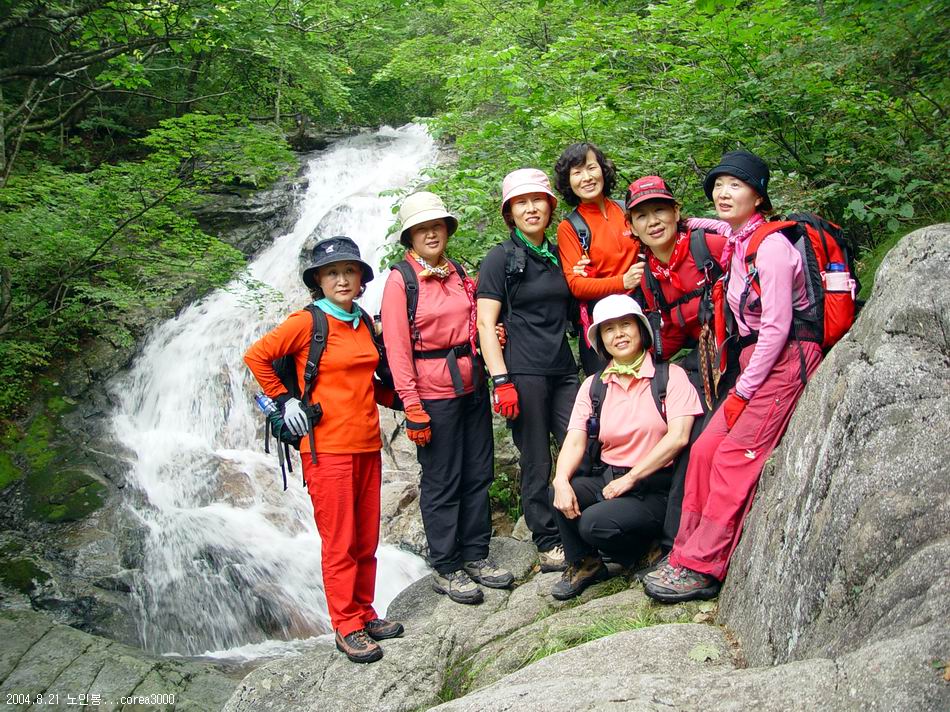 염정의