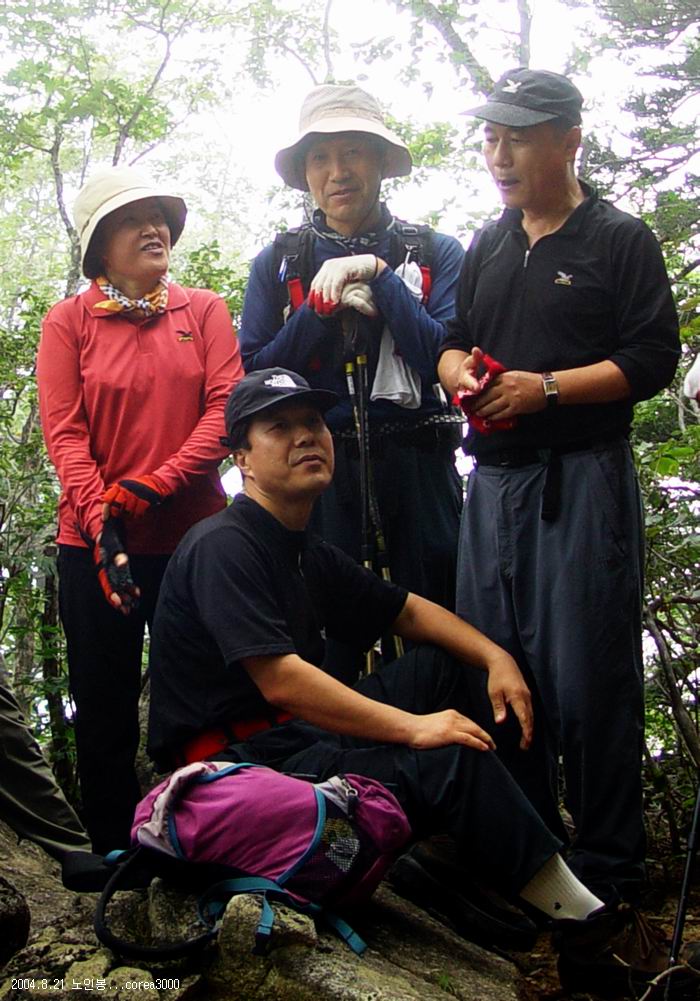 염정의